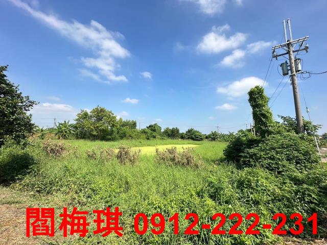 新市農地-12