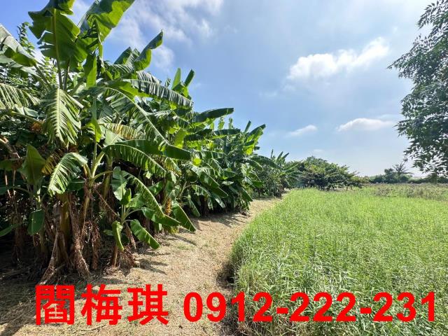 新市農地-2