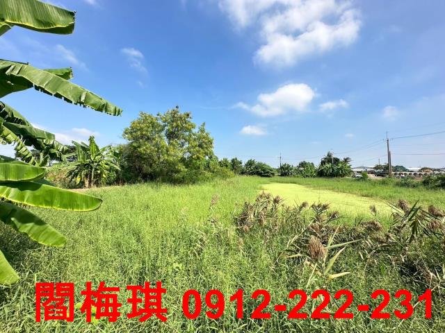 新市農地-4