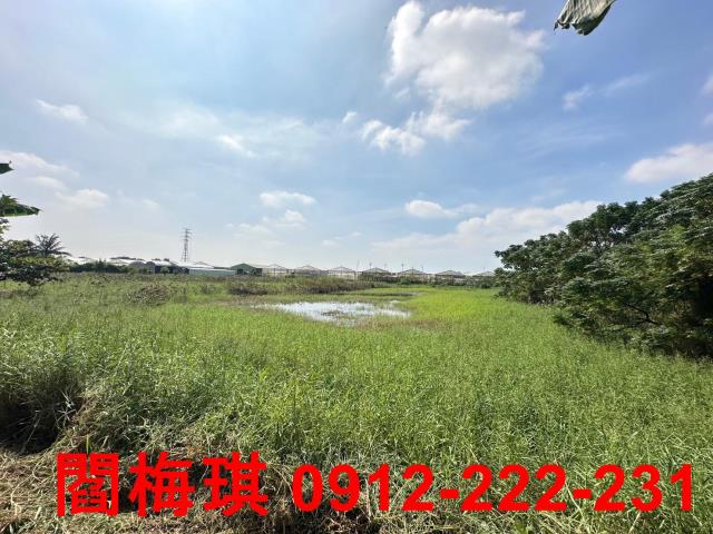 新市農地-6