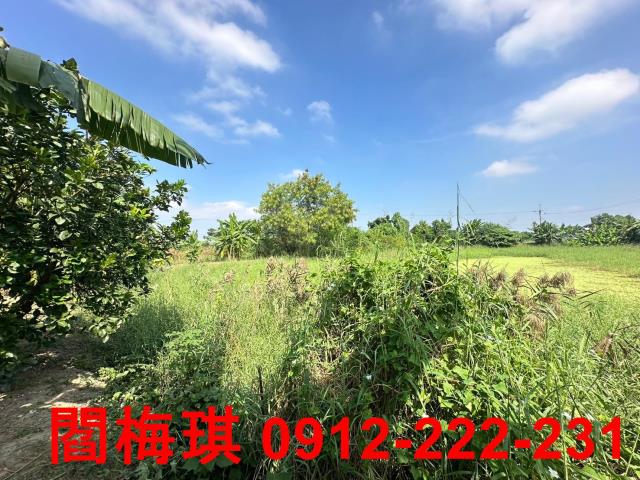 新市農地-7