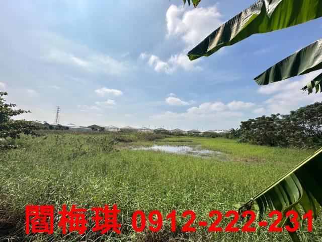 新市農地-9