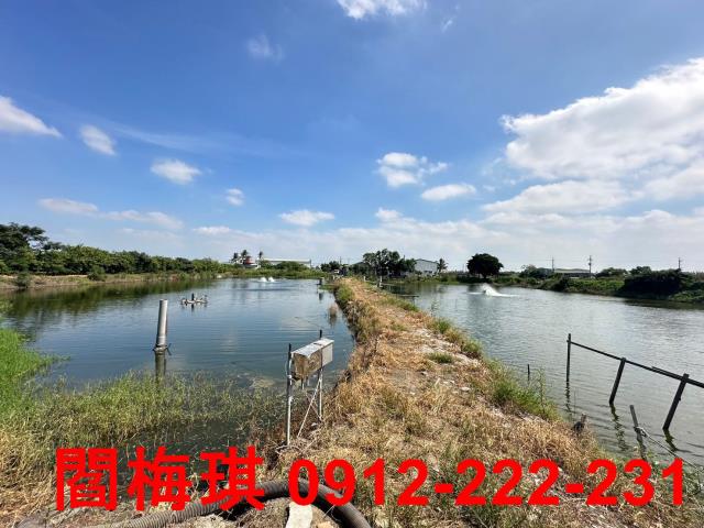 安南農地-1