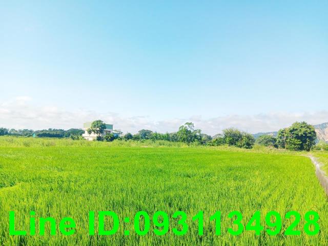 台中后里農地-1