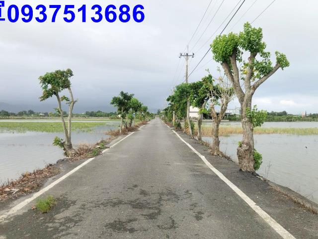 宜蘭礁溪農地-8