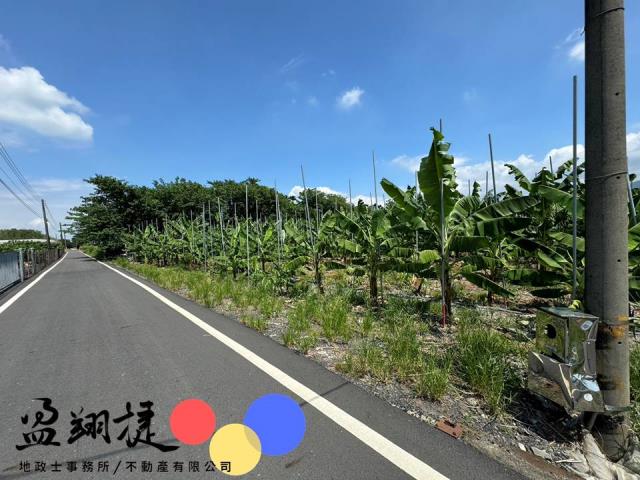 新埤農地-1