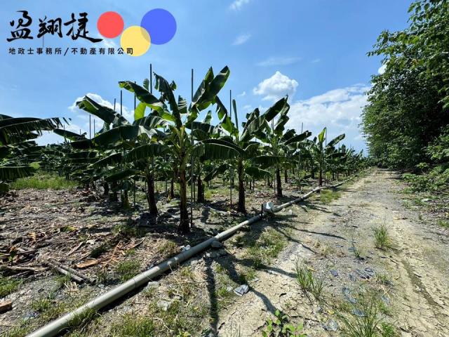 新埤農地-4