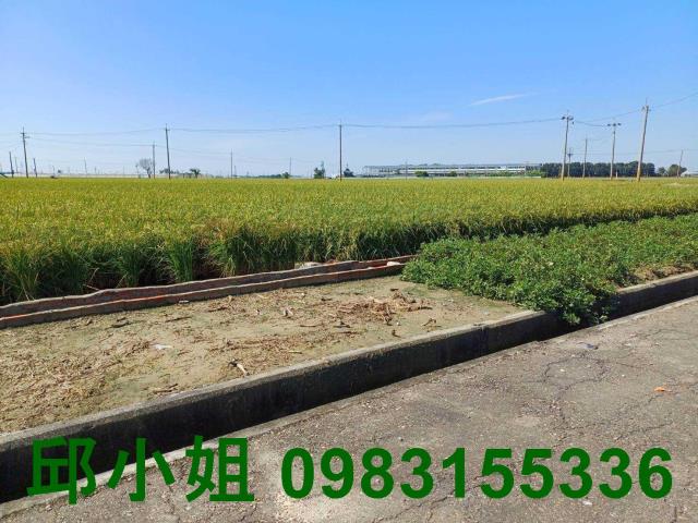 嘉義農地-1