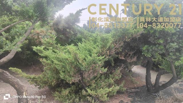 福興農地-3