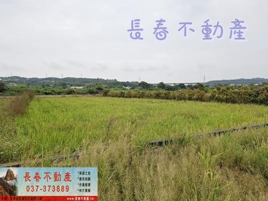 西湖農地-2