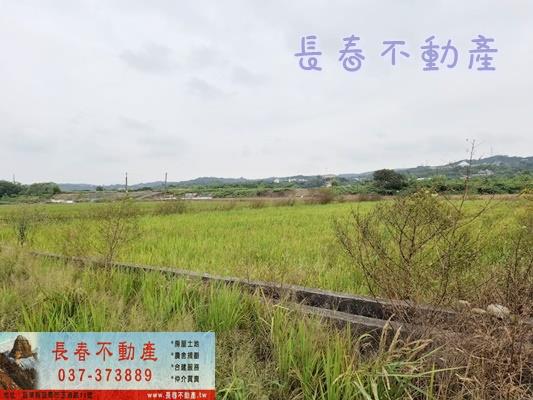 西湖農地-3