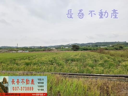苗栗農地-3