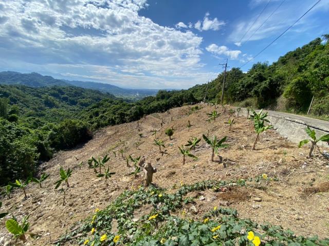 南投山坡地-2