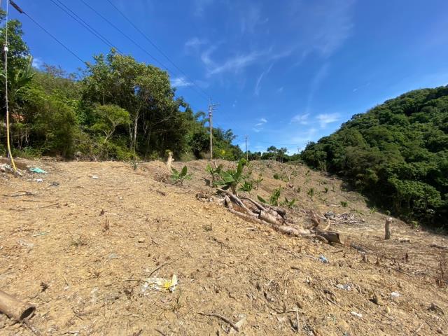 南投山坡地-5