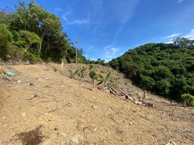 南投山坡地-6
