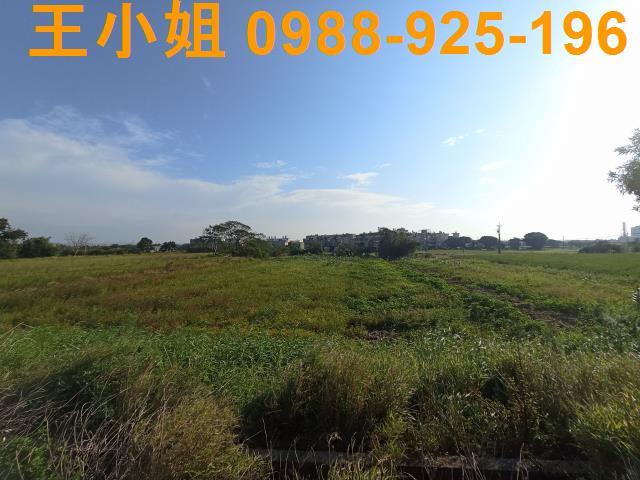 桃園農地-1