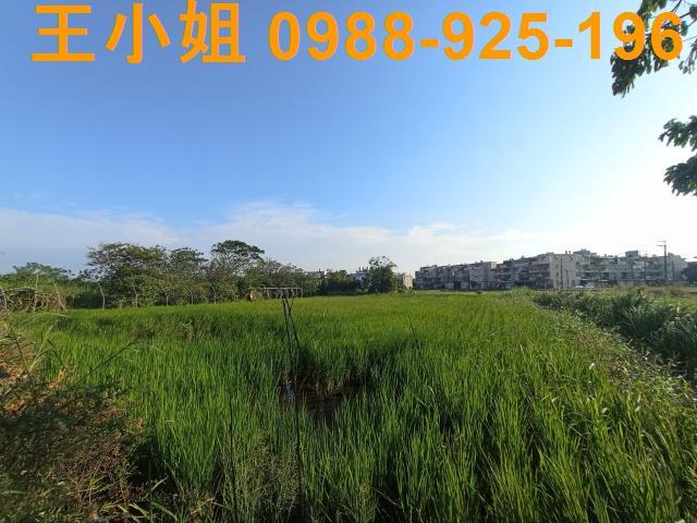 桃園農地-2