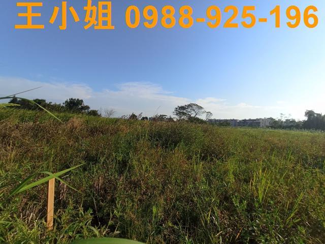 桃園農地-3