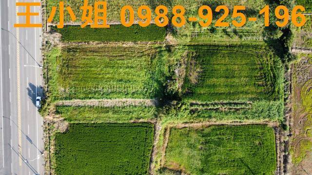 桃園農地-4