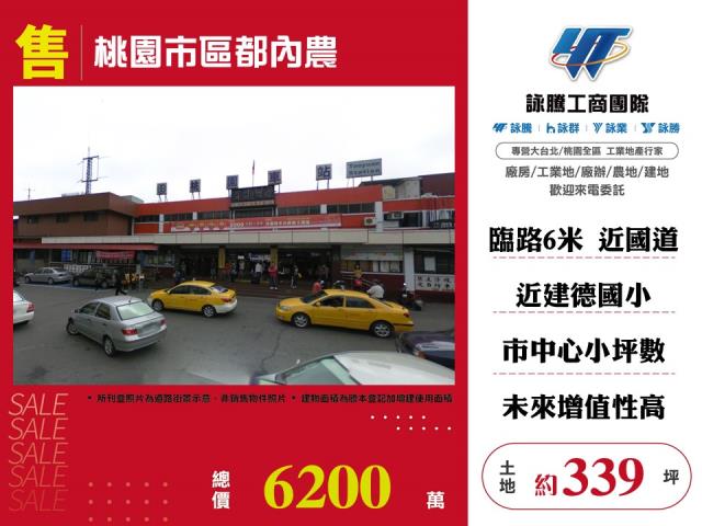 桃園區農地-1