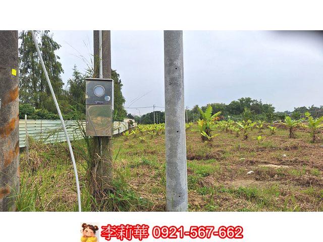 關廟農地-6