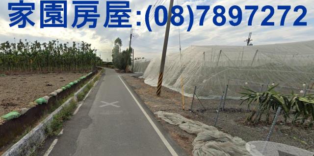 屏東新埤農地-2
