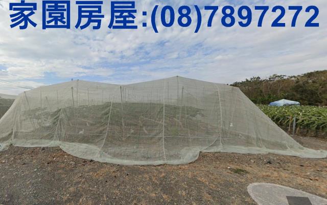 屏東新埤農地-4