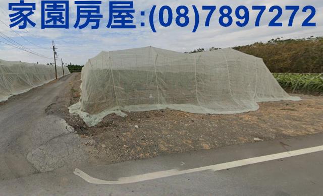 屏東新埤農地-5