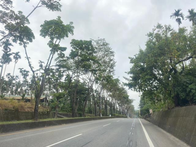 南投集集農地-6