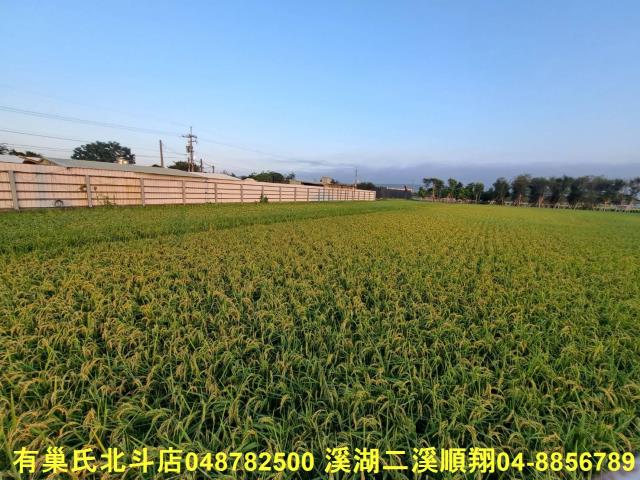 彰化田尾農地-9