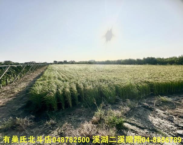 彰化二林農地-3