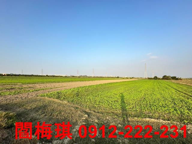 台南新市農地-2