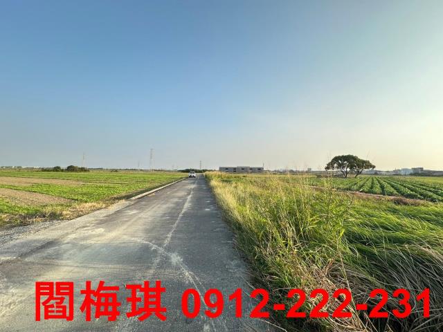 台南新市農地-8