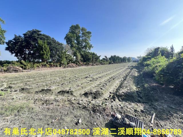 彰化溪州農地-1