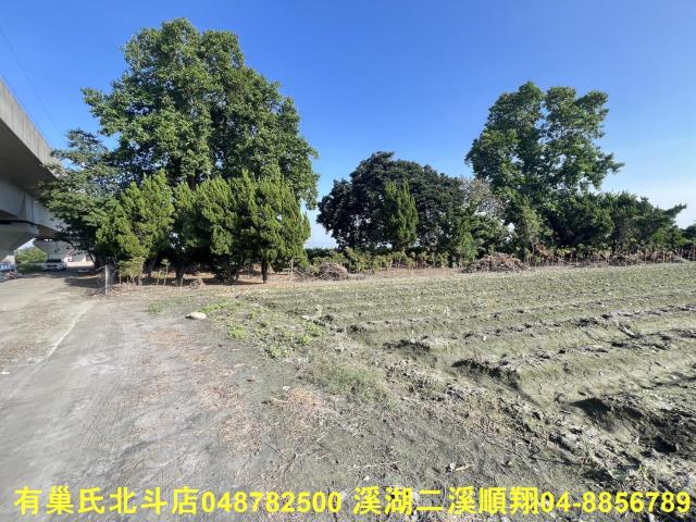 彰化溪州農地-2