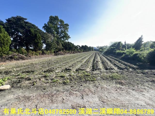 彰化溪州農地-4