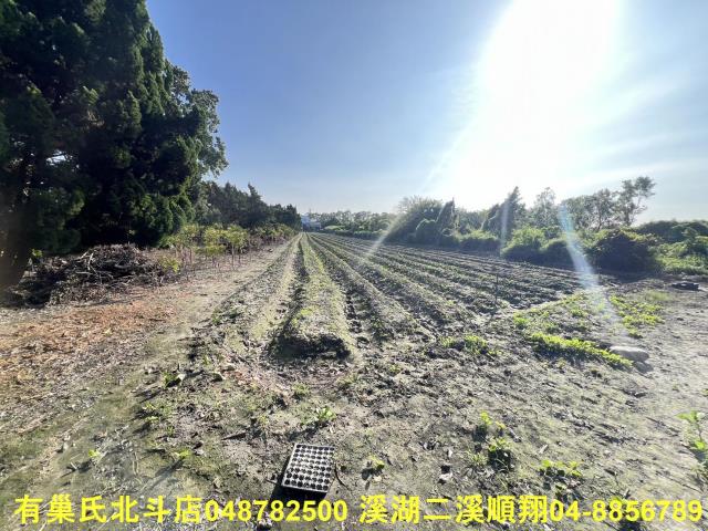 彰化溪州農地-7