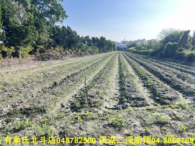 彰化溪州農地-8
