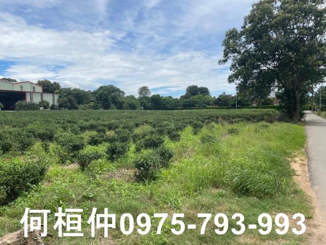 苗栗頭份農地-3