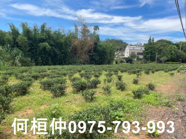苗栗頭份農地-4