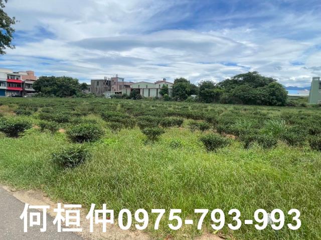苗栗頭份農地-6