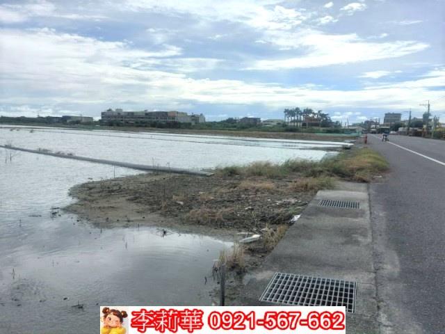 安南農地-7