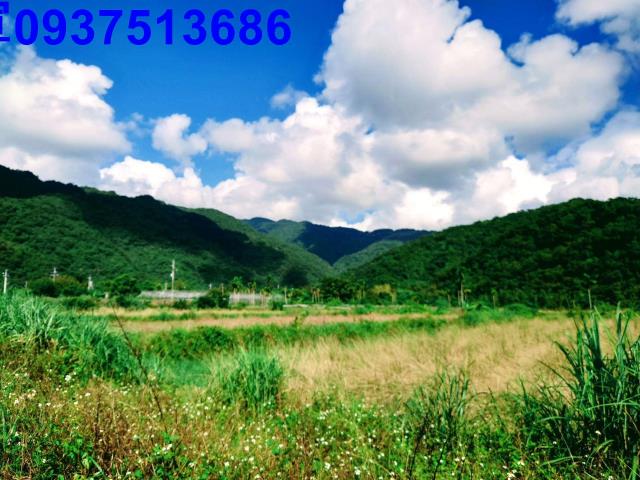 員山農地-2