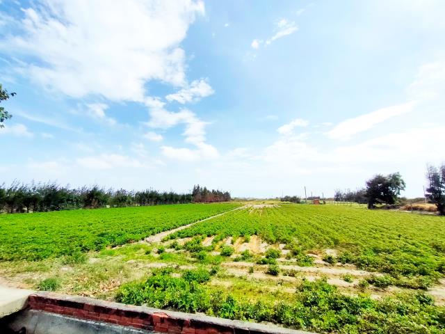 大城農地-1