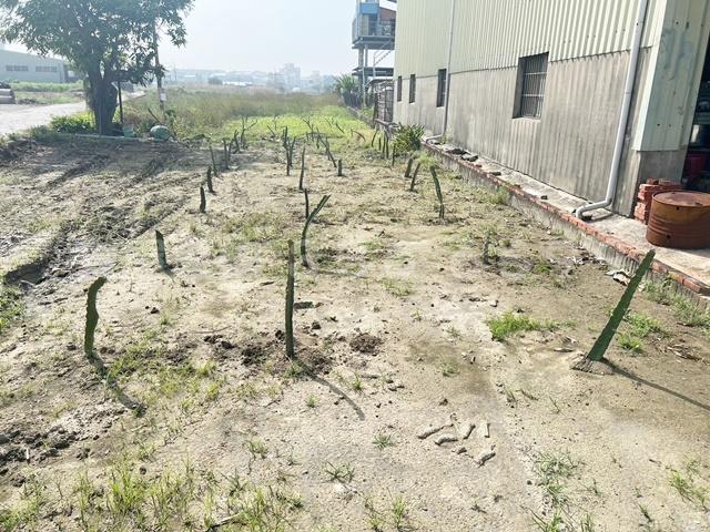高雄農地-2