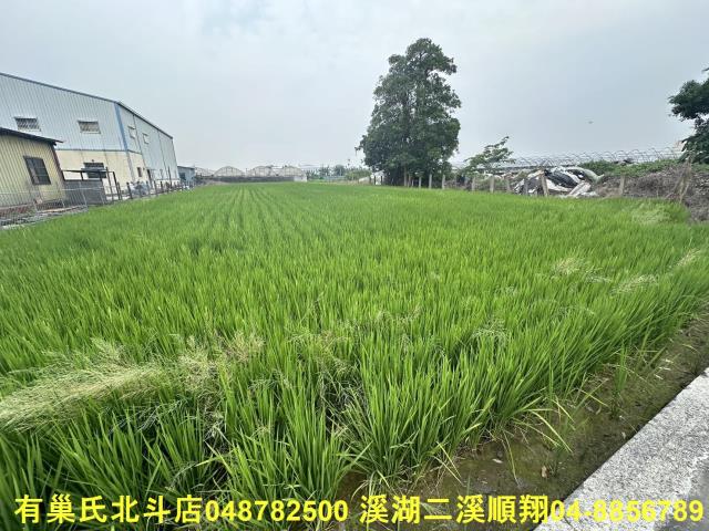 溪湖農地-2