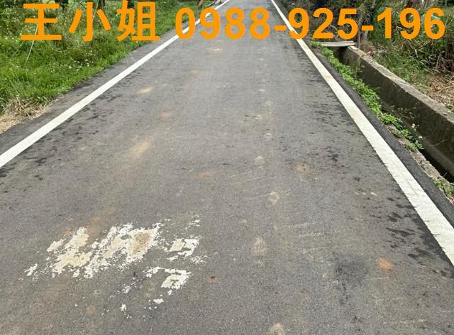 桃園新屋農地-2