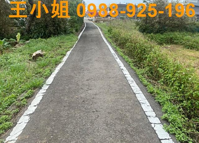 桃園新屋農地-3
