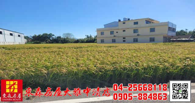 台中神岡農地-5