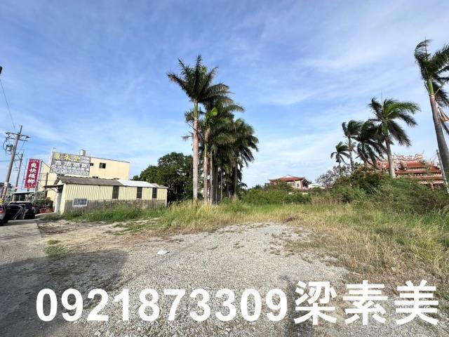 台南農地-2